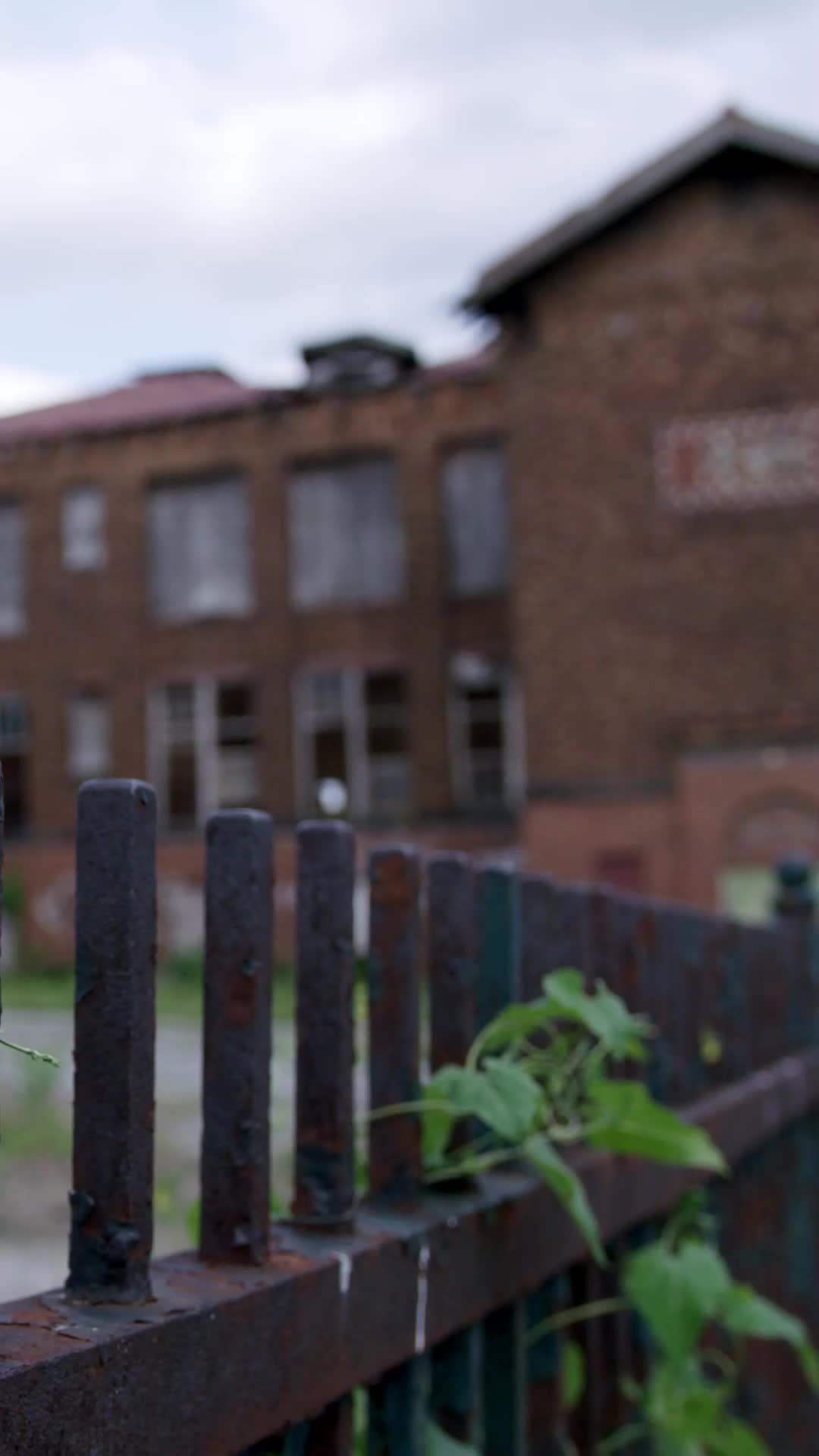 49 серия - Босс сошёл с ума по мне